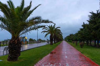 Batum 'da yağmurdan sonra döngü yolu