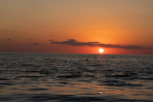 Orange Solnedgång Havet — Stockfoto