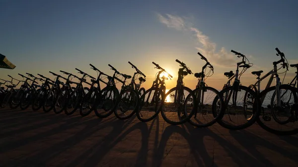 Batumi Georgien Mai 2021 Fahrräder Bei Sonnenuntergang — Stockfoto