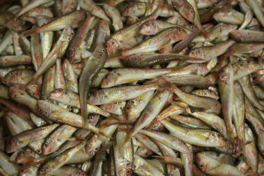 Batumi, Gürcistan - 23 Temmuz 2021: Balık Pazarı