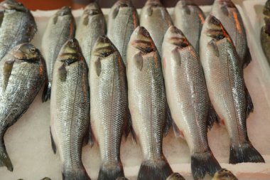 Batumi, Gürcistan - 23 Temmuz 2021: Balık Pazarı