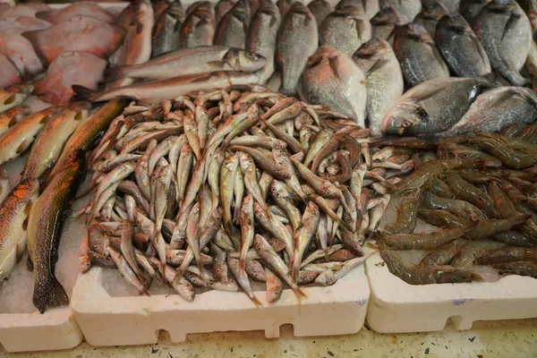 Batumi Georgia Julio 2021 Mercado Pescado —  Fotos de Stock