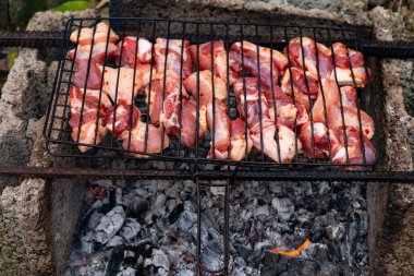 Doğada barbekü yapan domuz kebabı.