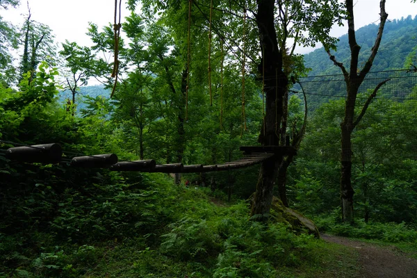 Parkta hız çizgisi