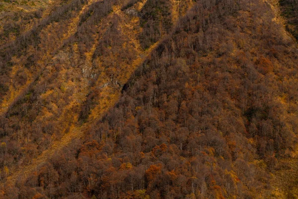 Fundo Textura Mount Shkhara Geórgia — Fotografia de Stock