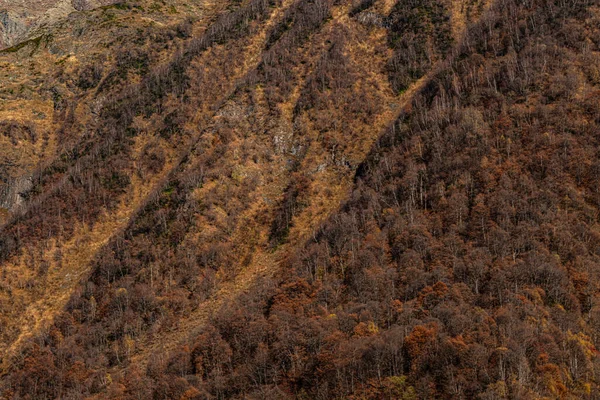 Fundo Textura Mount Shkhara Geórgia — Fotografia de Stock