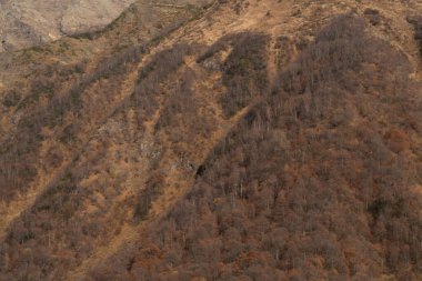 arkaplan, Shkhara Dağı dokusu, Georgia