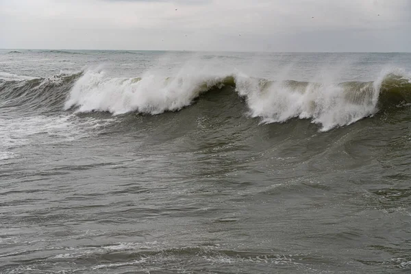 Batumi Georgië Februari 2021 Storm Zwarte Zee Enorme Golven — Stockfoto