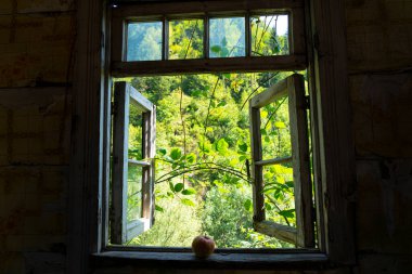 Pencereden doğanın görüntüsü