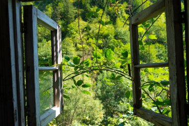 Pencereden doğanın görüntüsü