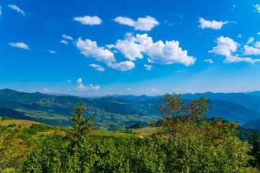 Yayla, Kırım dağlarında yaz otlakları olarak kullanılan ağaçsız yerler.