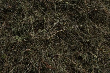 arka plan saman yığını şeklinde, arka plan kurumuş çimen