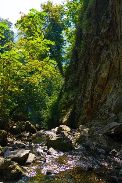 格鲁吉亚Adjara Makhuntseti瀑布附近的自然 — 图库照片