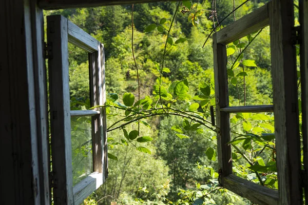 Uitzicht Natuur Vanuit Het Raam — Stockfoto