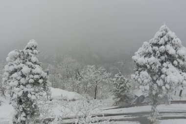 Ormanda kar yağışı, hava manzarası
