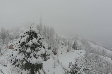 Ormanda kar yağışı, hava manzarası