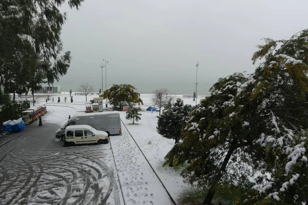 Kar Yağışı Sırasında Batumi Adjara Georgia — Stok fotoğraf
