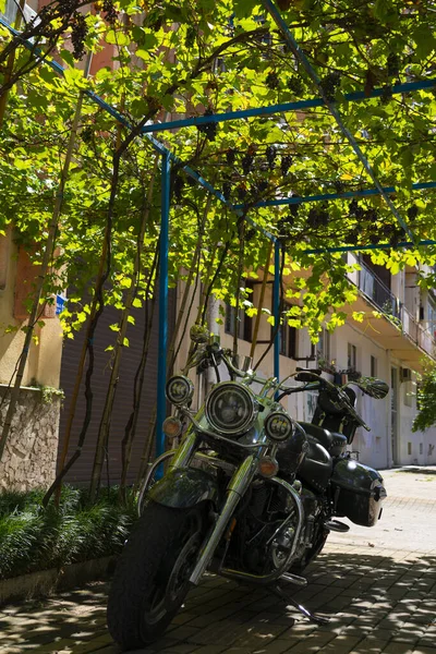 Батумі Грузія Вересня 2021 Року Мотоцикл Припарковано Під Навісом — стокове фото