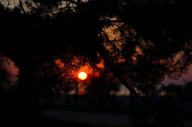 Batum, Gürcistan - 20 Eylül 2021: Rıhtımda gün batımı