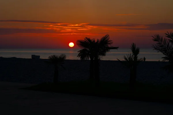 Batumi Georgien September 2021 Solnedgång Vid Vattnet — Stockfoto