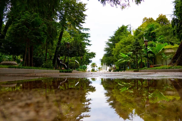 Mokrý Chodník Městském Parku — Stock fotografie