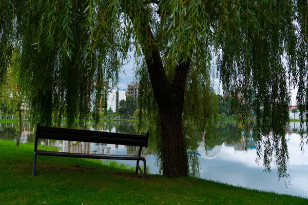 Bench Het Park Bij Het Meer — Stockfoto