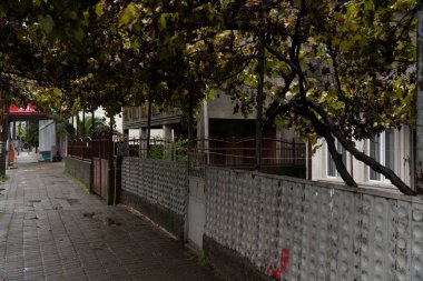 Batumi, Gürcistan - 23 Eylül 2021: Yağmurda şehir caddesi