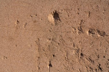 Kahverengi taş eski duvar şeklinde arkaplan