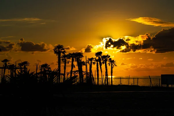 Solnedgång Till Havs Tropikerna — Stockfoto