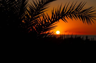 Tropiklerde gün batımı