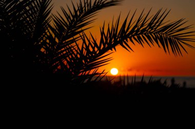 Tropiklerde gün batımı