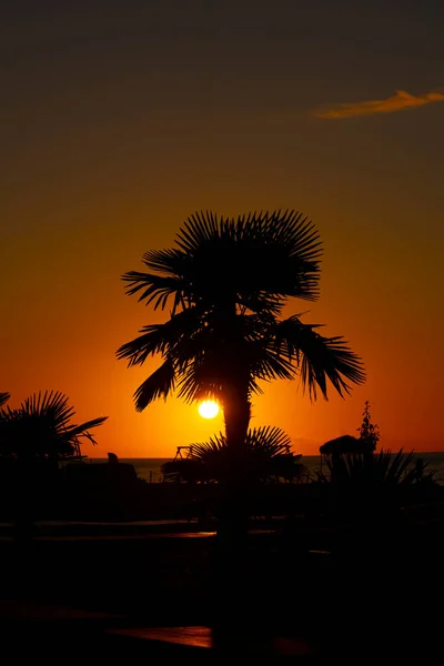 Solnedgång Till Havs Tropikerna — Stockfoto