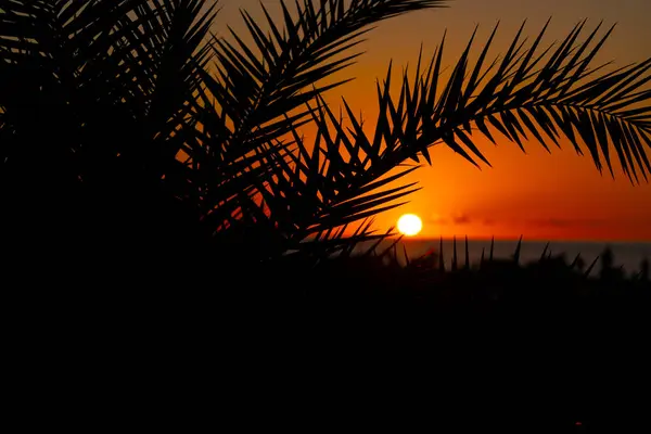 Sonnenuntergang Auf See Den Tropen — Stockfoto