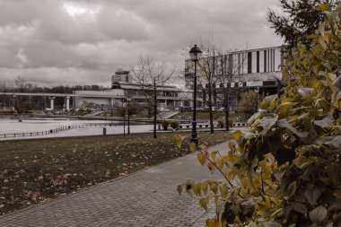 Yağmurdan sonra göl kenarında terk edilmiş. Kasvetli gri gökyüzü. Islak asfalt. Sonbahar nemli manzarası