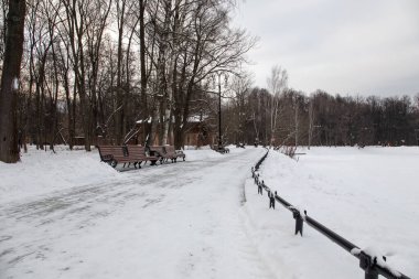 Parktaki güzel karlı patika. Banklar, ağaçlar, ışıklar. Güzel kış günü.