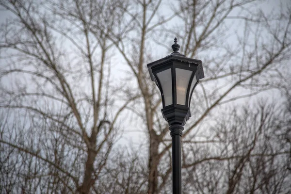 Piękna Latarnia Vintage Tle Nieba Drzew Architektura Starożytna — Zdjęcie stockowe