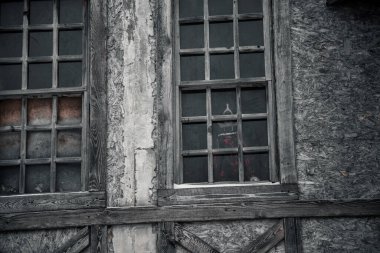 Terk edilmiş bir binanın penceresinde güzel bir köpek oturuyor. Antika pencereler ve duvarlar. Amerikan Personel Teriyeri