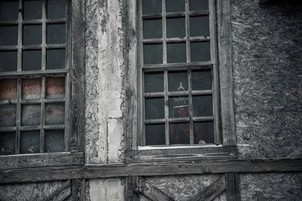 Piękny Pies Siedzi Oknem Opuszczonym Budynku Zabytkowe Okna Ściany Terier — Zdjęcie stockowe