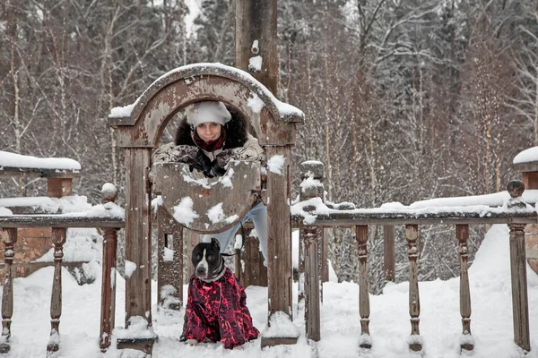 朽ちた装飾の近くに少女と犬が立っている 冬の雪の日 曇った空 — ストック写真