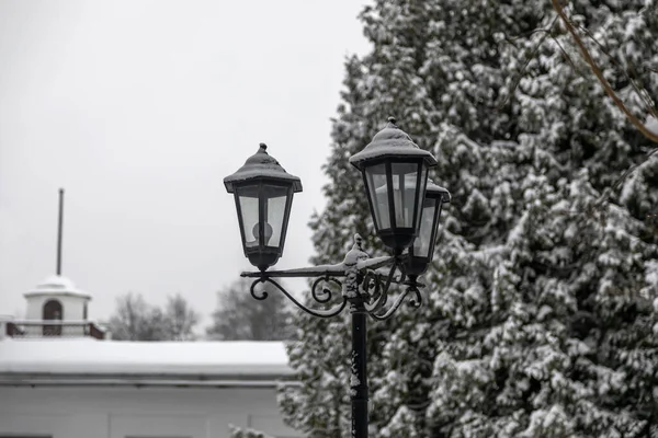 Lanterna Vintage Fundo Uma Árvore Natal Com Neve Belo Dia — Fotografia de Stock