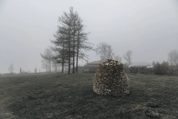 Manhã Cinzenta Enevoada Árvores Nevoeiro Silent Hill Paisagem Natural Mística — Fotografia de Stock