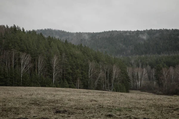 Bela Floresta Tempo Cinza Chuvoso Céu Cinzento Com Nuvens Chuva — Fotografia de Stock