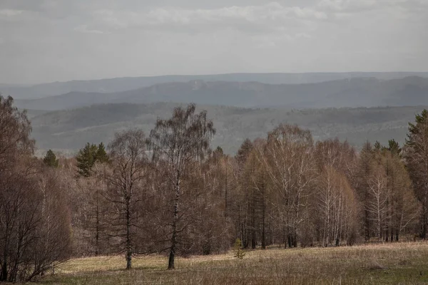 Прекрасна Природа Вид Гори Ліс Дерева Сонячний День — стокове фото