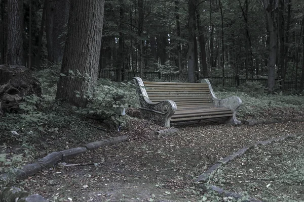 Beautiful Meadow Forest Abandoned Benches Old Meadow Nature Park — Stock Photo, Image