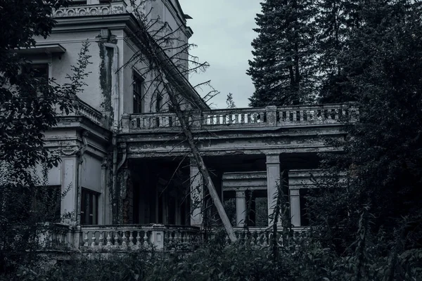 Asustada Mansión Abandonada Bosque Oscuro Hermosa Arquitectura Antigua Casa Embrujada — Foto de Stock