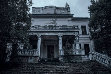Karanlık bir ormanda terk edilmiş korkunç bir malikane. Güzel mimari. Dağınık duvarları olan eski perili bir ev. Mistik terk edilmiş bir malikane..