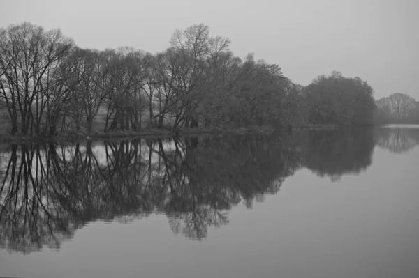 Sisli Bir Sonbahar Sabahında Gölet — Stok fotoğraf