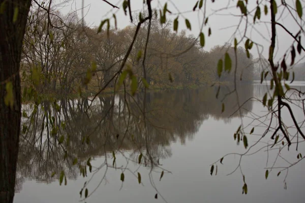 Kolam Pada Musim Gugur Yang Berkabut Pagi — Stok Foto