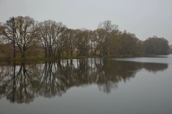 Stagno Una Nebbiosa Mattina Autunno — Foto Stock