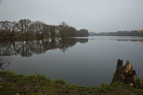 Teich Einem Nebligen Herbstmorgen — Stockfoto